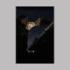 Plakat Nietoperz - Bogdanka Bartek Baran