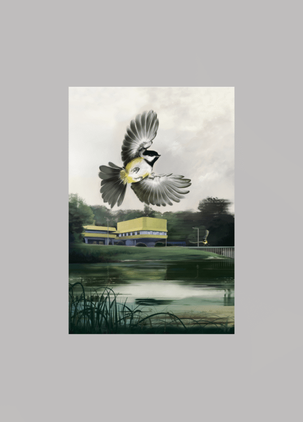 Plakat Sikorka - Stacja Aquanet Bartek Baran