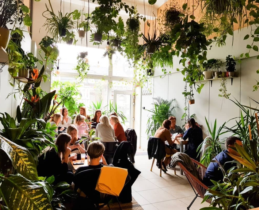 Dżungla Cafe Poznań Głogowska 32 Dżungla Cafe Poznań Głogowska 32