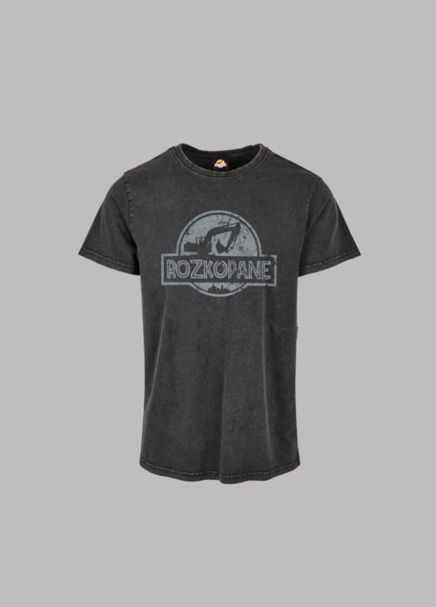 Rozkopane Wasted Tee Regular